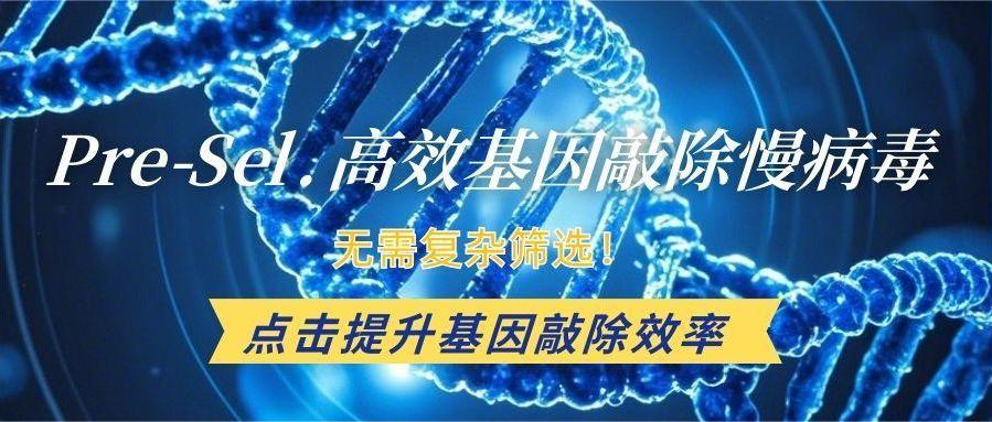 上新|Pre-Sel. 高效基因敲除慢病毒