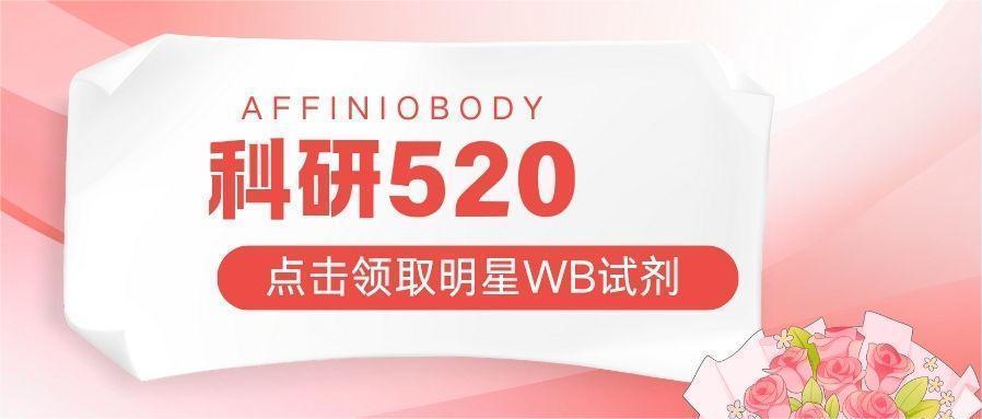 科研520|这些WB实验试剂可以免费领！