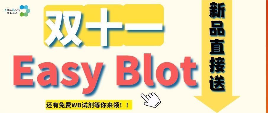 新品直接送！双十一